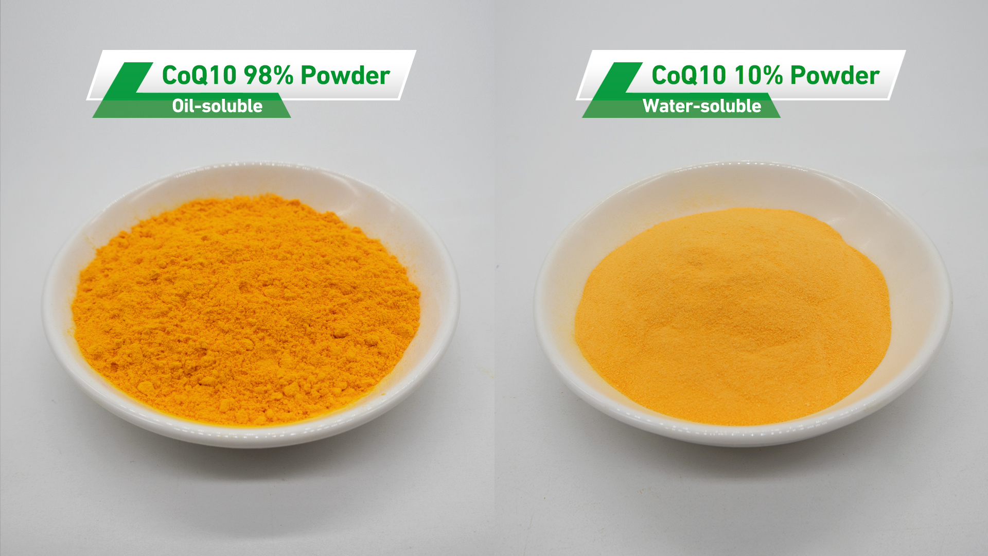 Coenzyme Q10 Powder